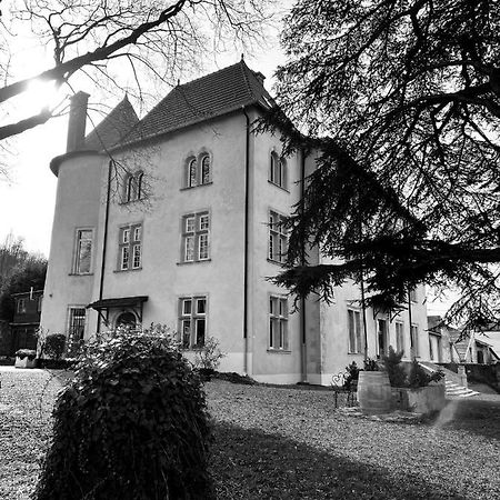 Bed And Breakfast Le Chateau De Morey Belleau Екстериор снимка