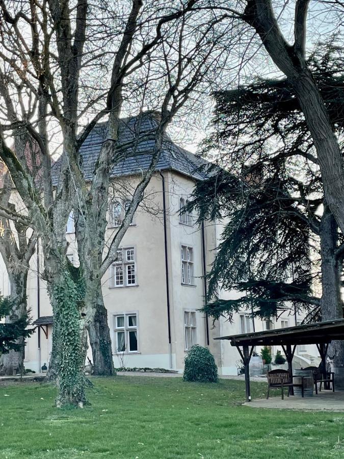 Bed And Breakfast Le Chateau De Morey Belleau Екстериор снимка